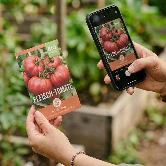 Add your seeds and plants